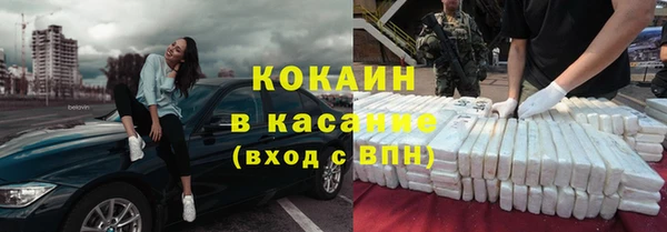 индика Алексин