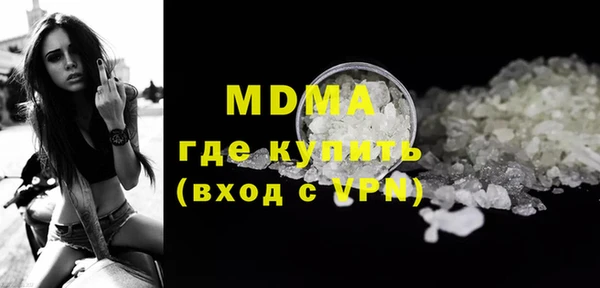 индика Алексин