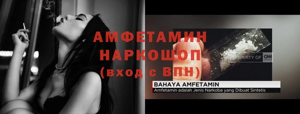 индика Алексин