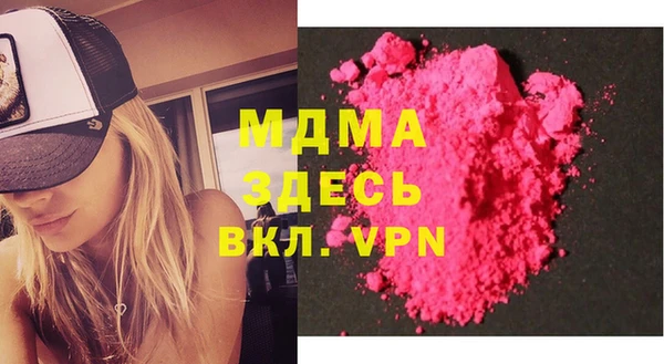 индика Алексин