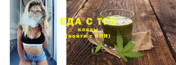 индика Алексин