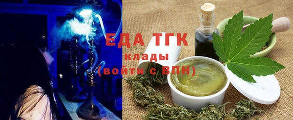 индика Алексин