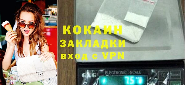 индика Алексин