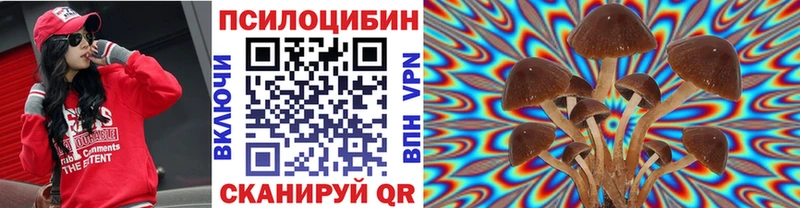 Псилоцибиновые грибы Cubensis  Приморск 
